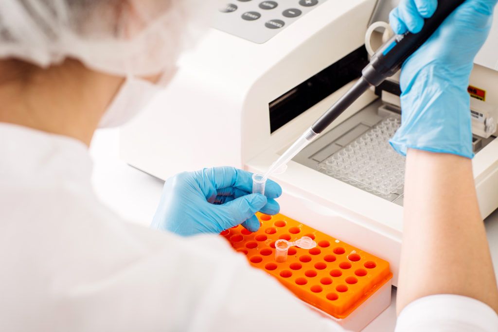 'Whole toolbox of measures' needed for bTB eradication