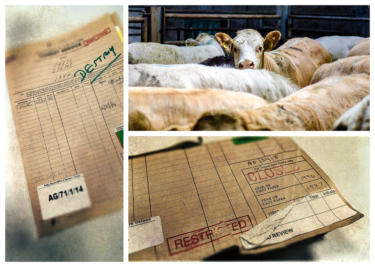 Declassified files: ‘Fish was on the plate, but beef (and BSE) were on the menu’