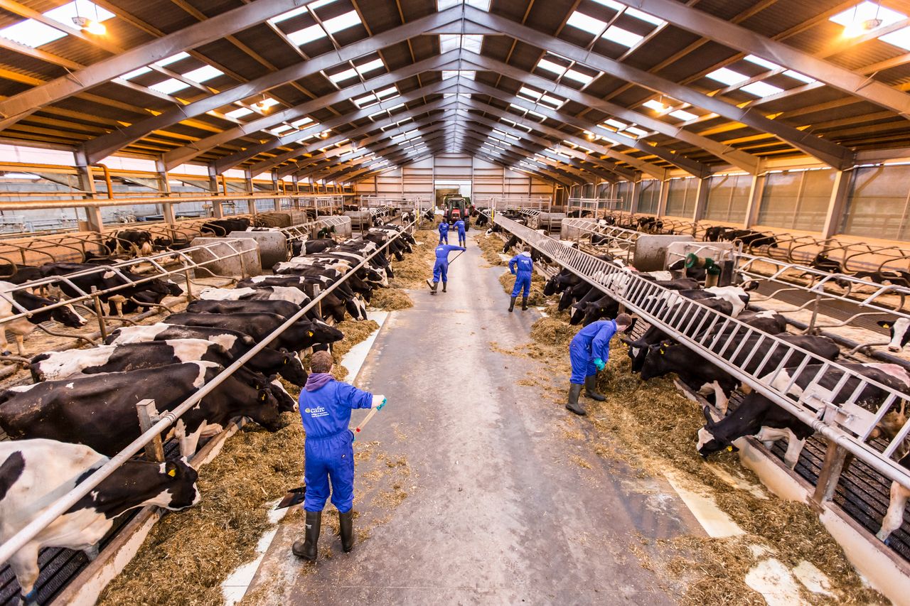 CAFRE’s Agricultural Business Operations courses open for 2019 applications