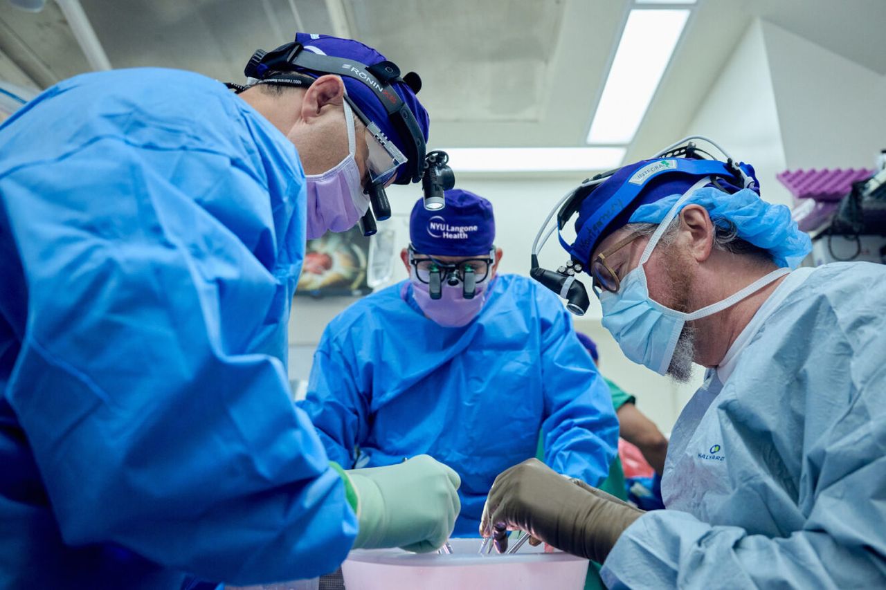 Pig kidney working for over 30 days in human body after transplant