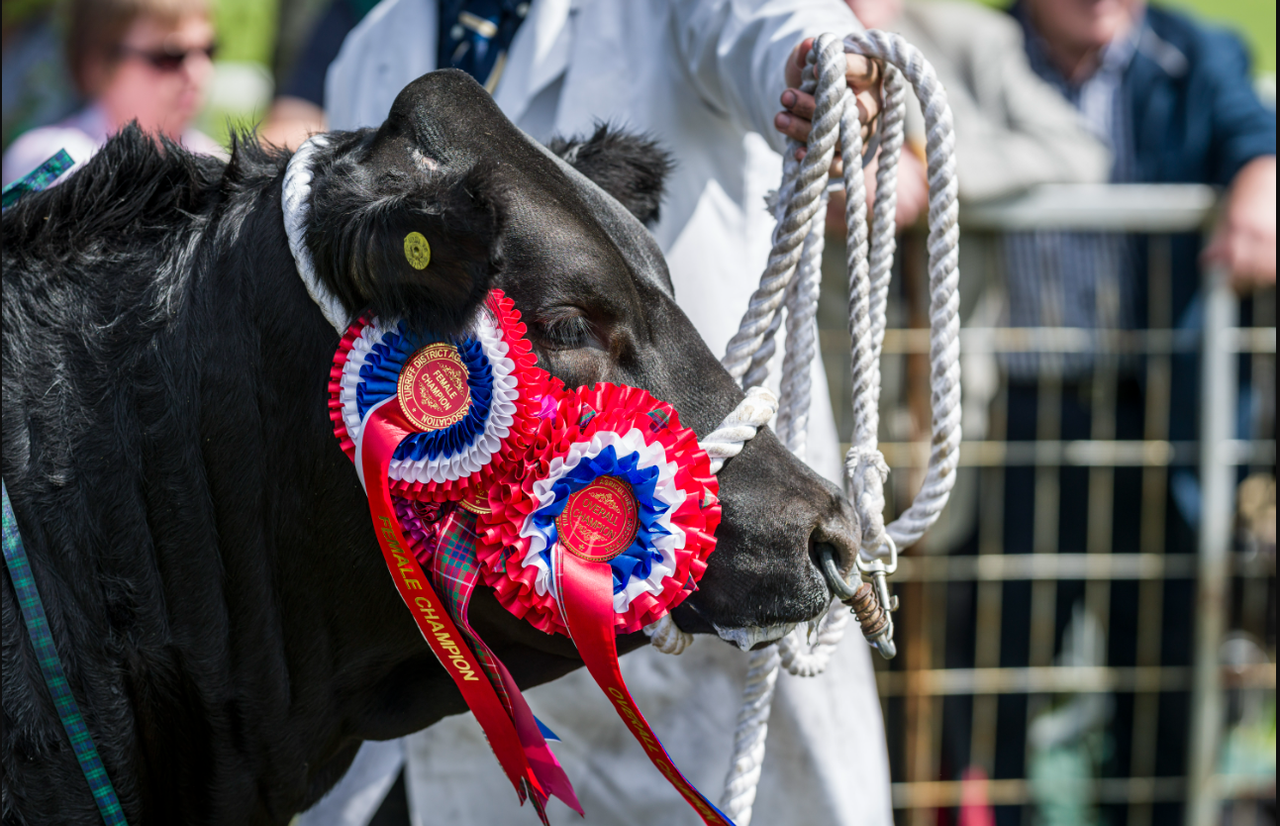 Countdown is on to major Scottish agricultural event