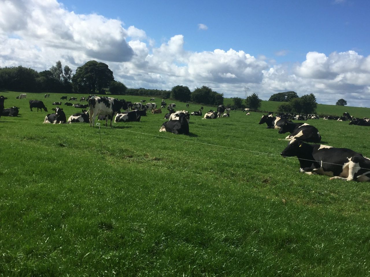Dairy expansion - How growing to 450 cows is impacting one Meath farm