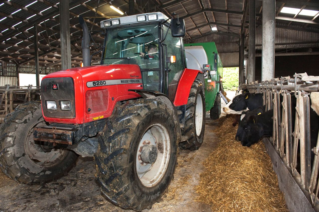 Dairy advice: Easing the Christmas day workload