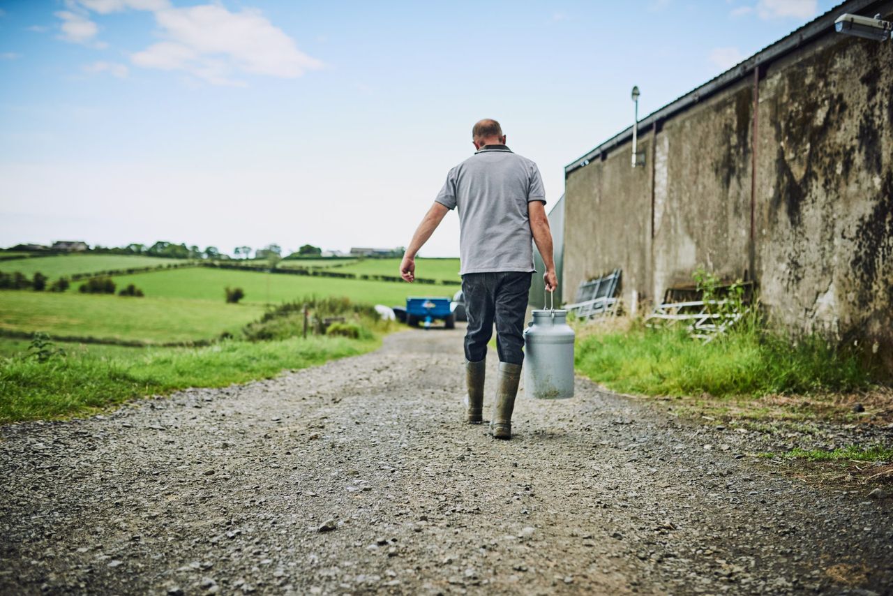 NI entitlement transfer service to open tomorrow