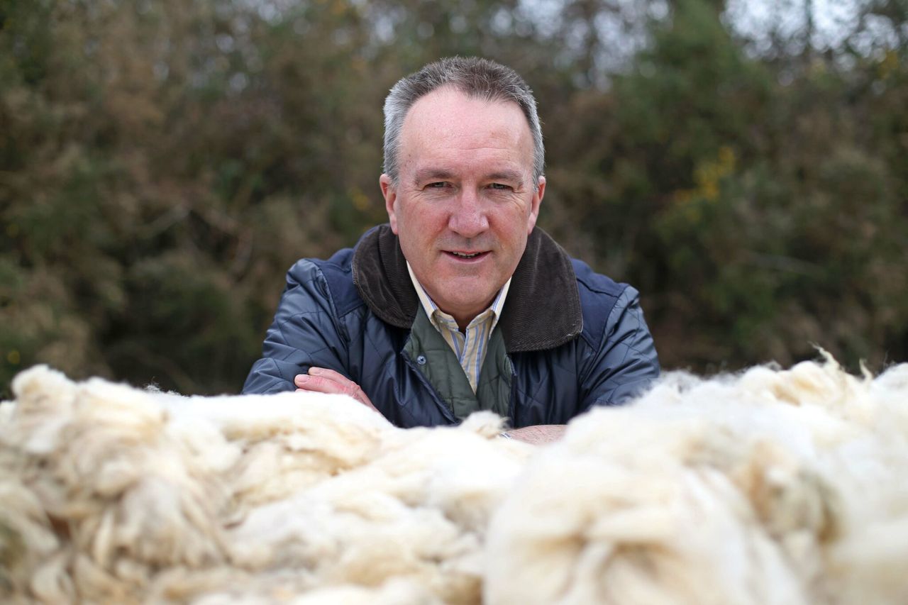 Wool prices set to remain strong following 20% increase