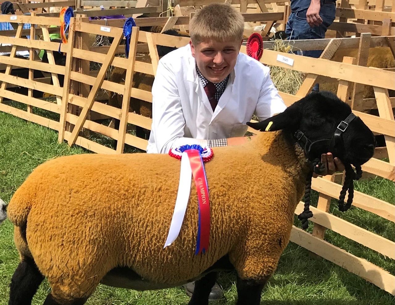 Next Generation Shepherds rise to Covid-adapted skills competition