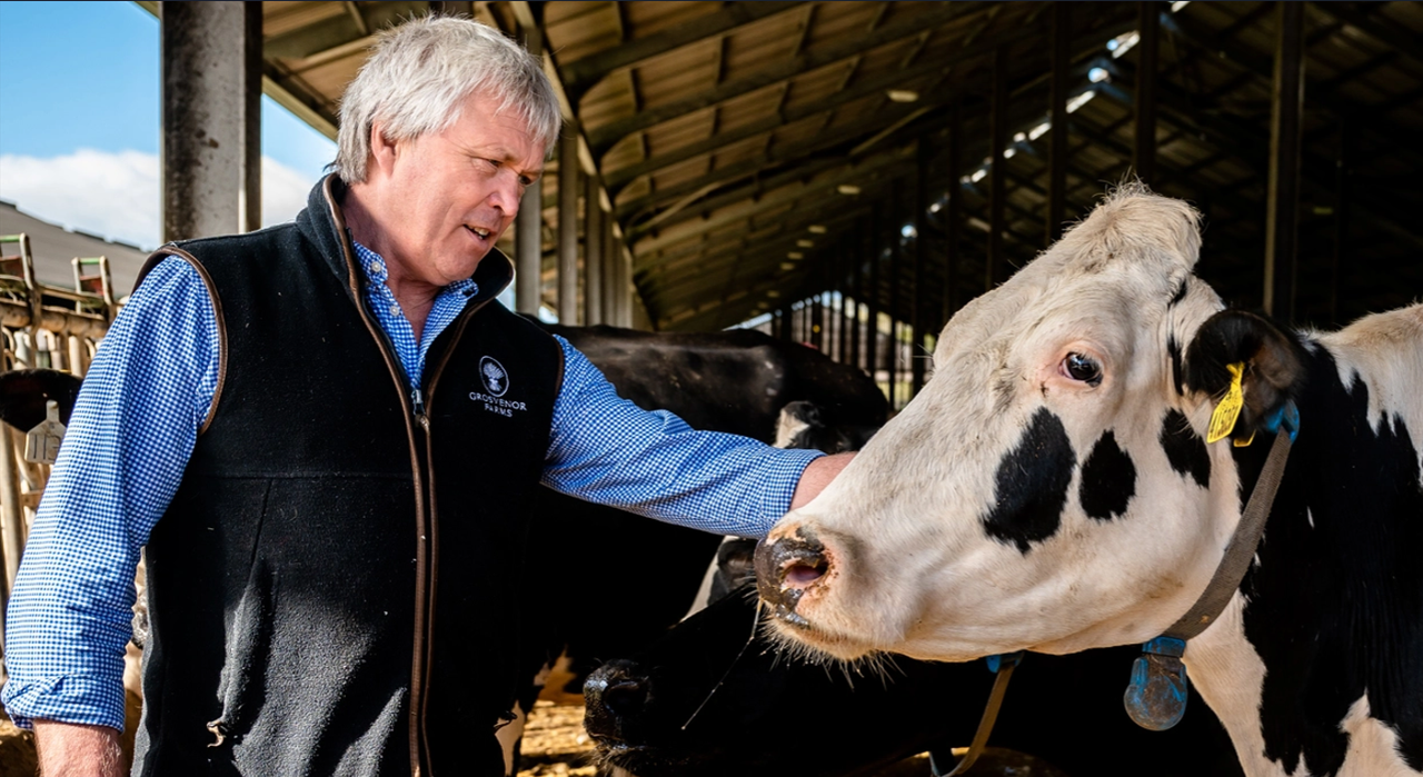 Supermarket groups back feed trials to cut methane emissions from UK farms