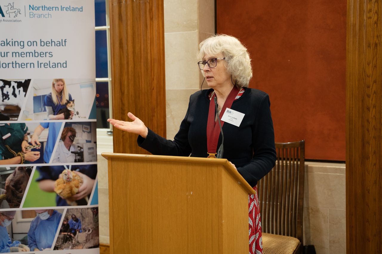 Permanent solution to vet medicines access in NI must be found – BVA
