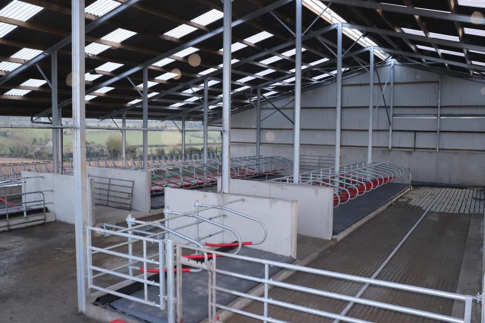 Poots rejects ammonia threshold at the centre of NI’s agricultural planning row