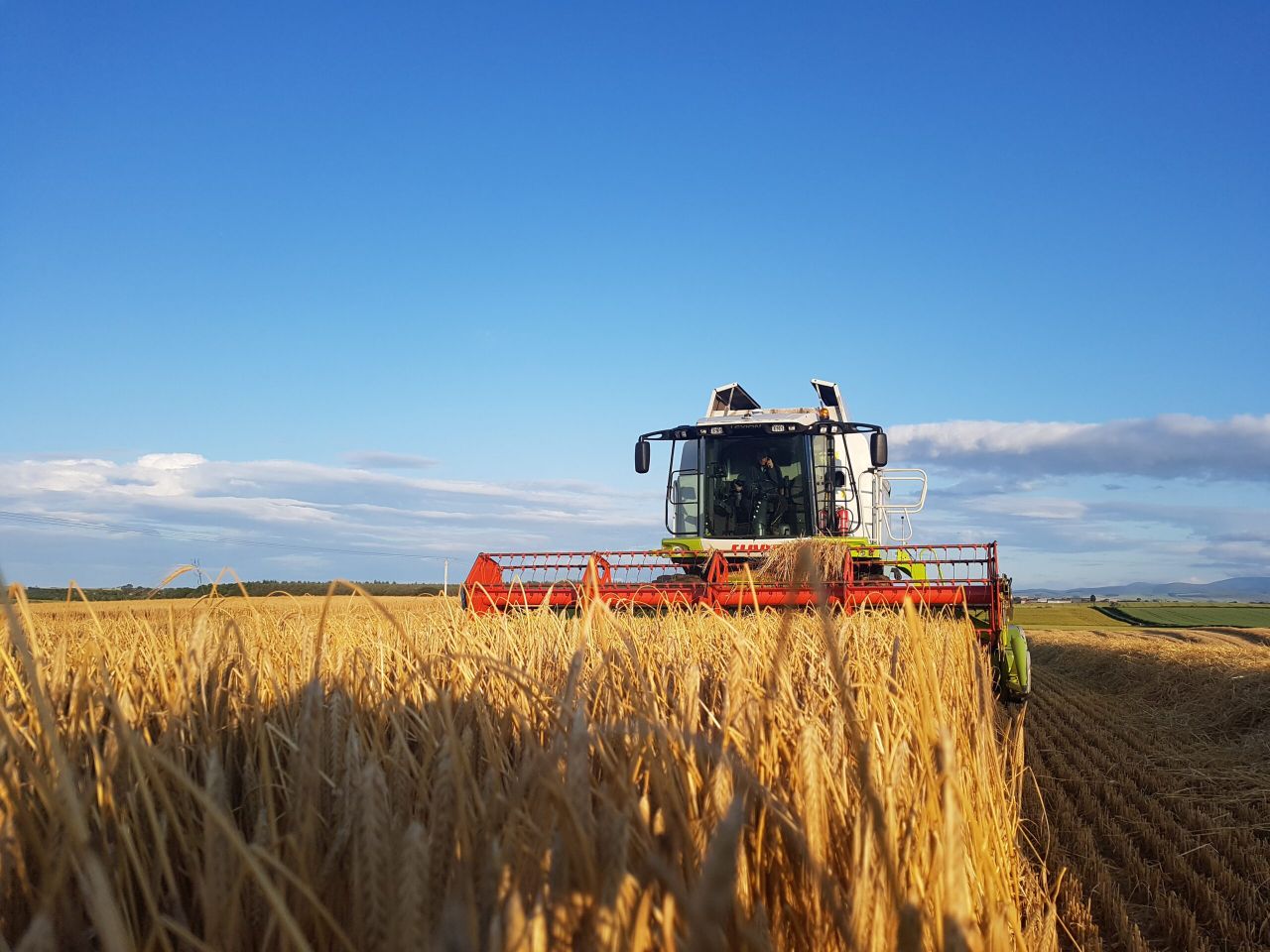 Cereal harvest in GB now 90% complete