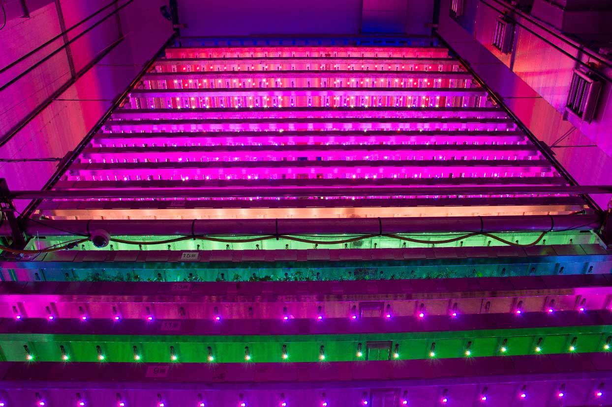 Scotland's first vertical farm 'arguably world's most advanced'