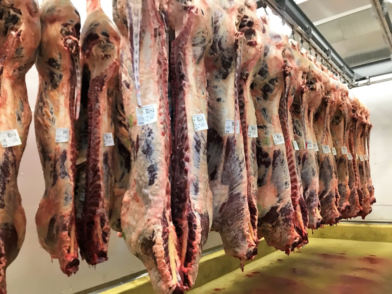 NI processor refuses to rule out further Polish beef imports