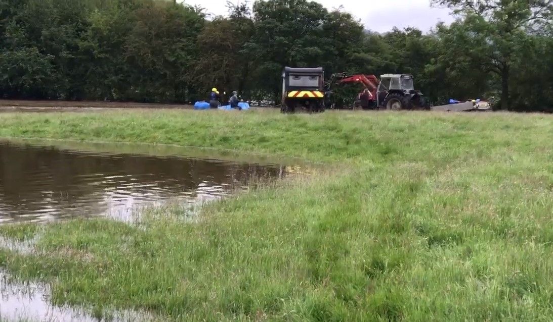 RSPCA saves 12 stranded sheep in flood rescue mission