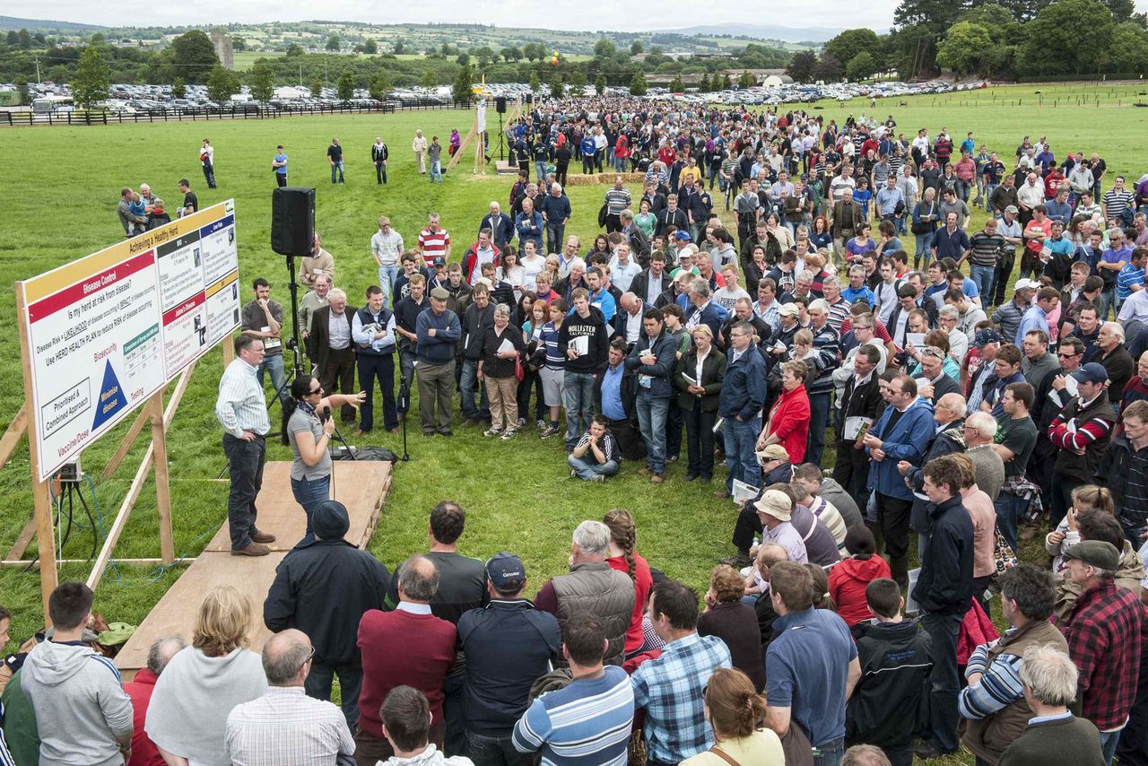 Grass, efficiency, planning key for dairy expansion, Moorepark
