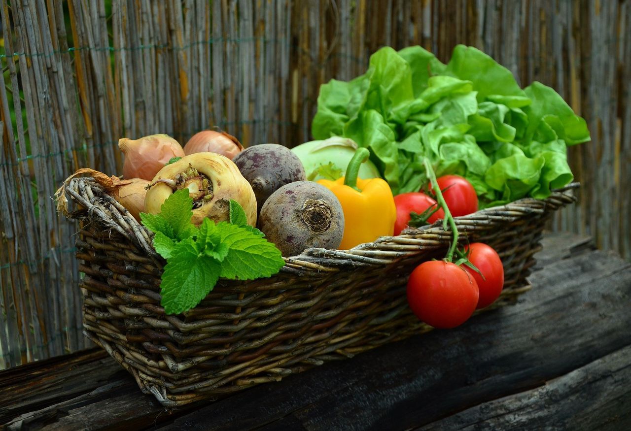 FAO: Food price index falls but still 23% higher than last year
