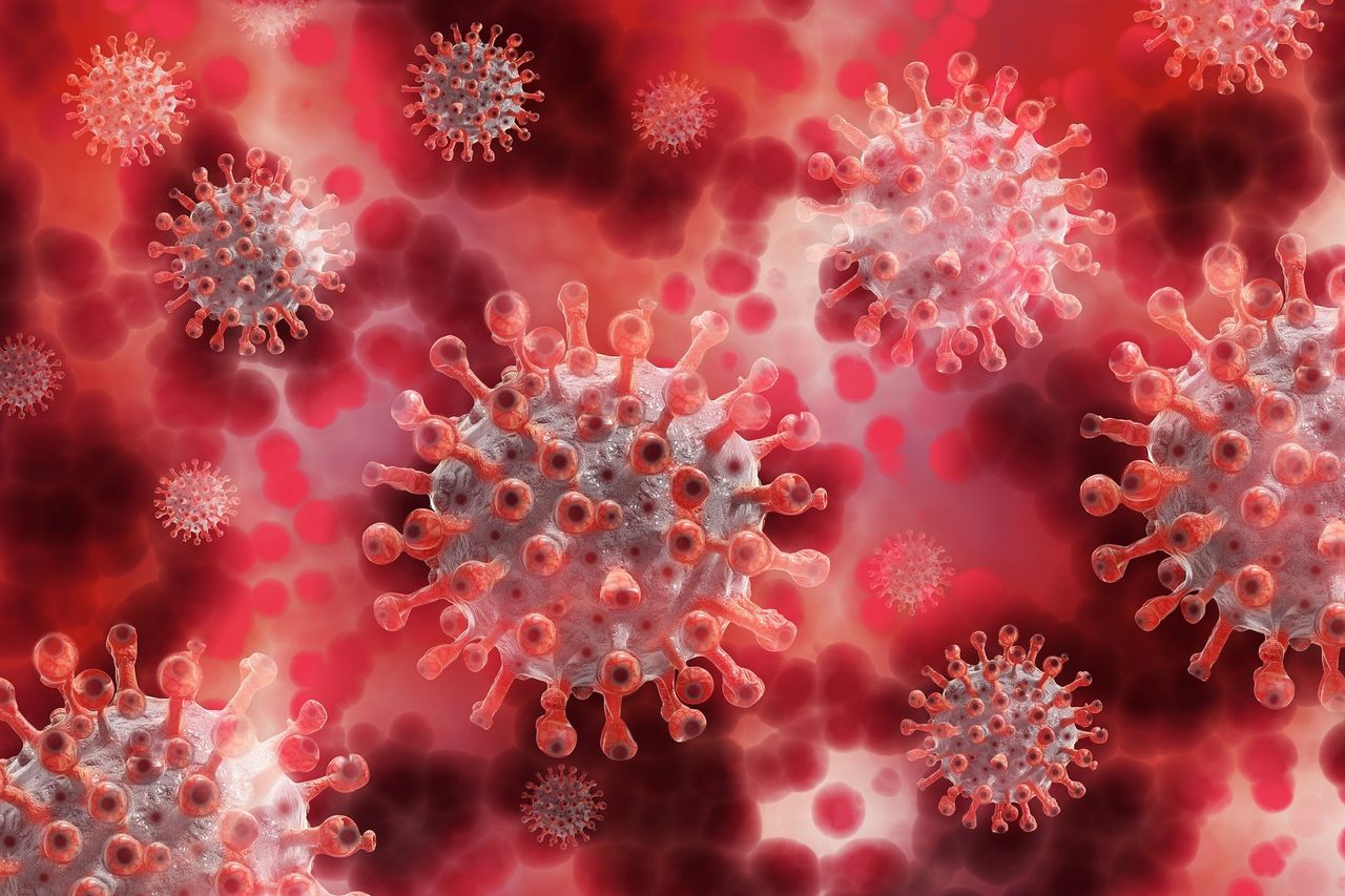 QPP processing plant to temporarily close after Covid-19 outbreak