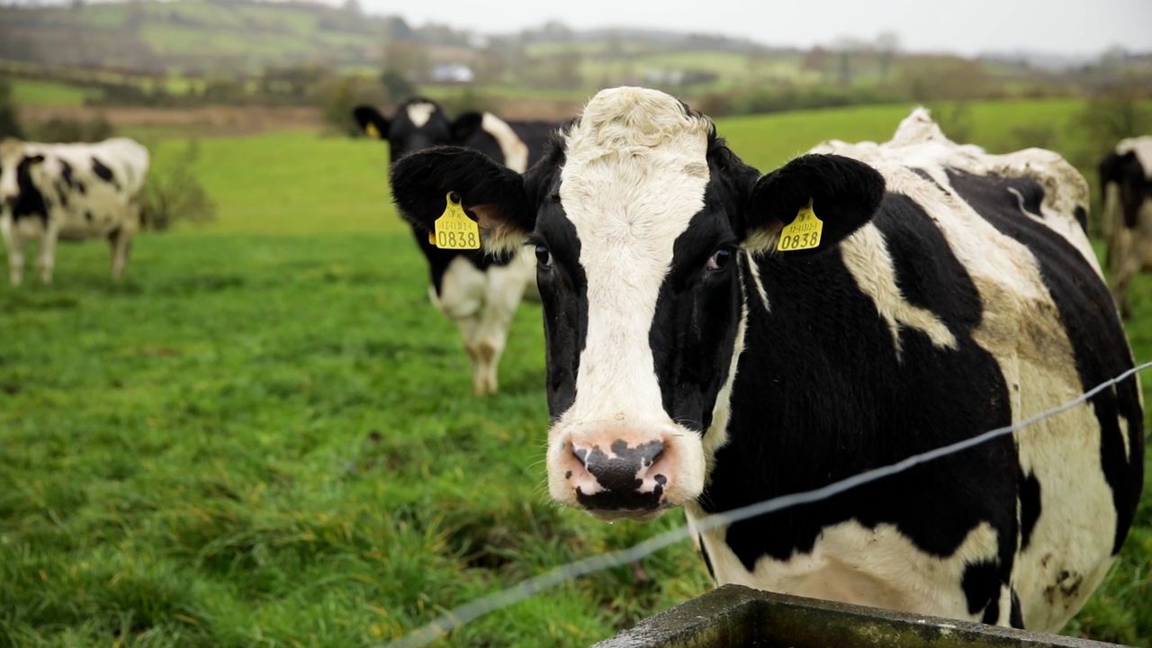 Lakeland increases base milk price for May supplies