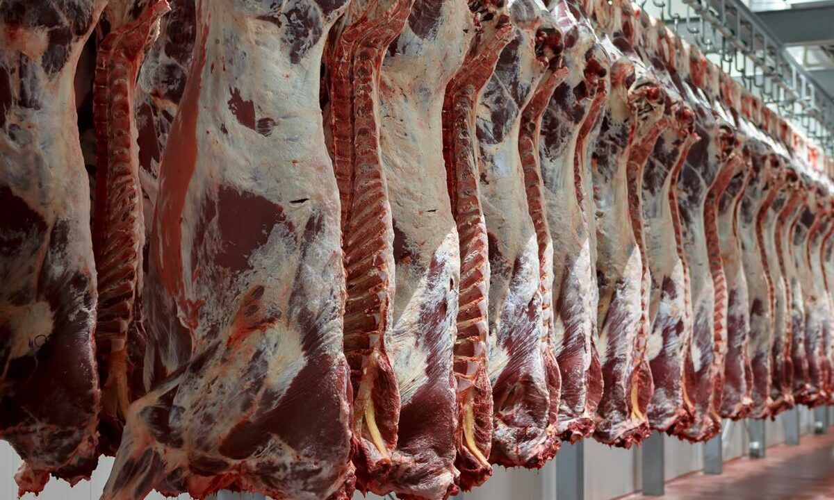 2025 UK beef production down 10,000t to date
