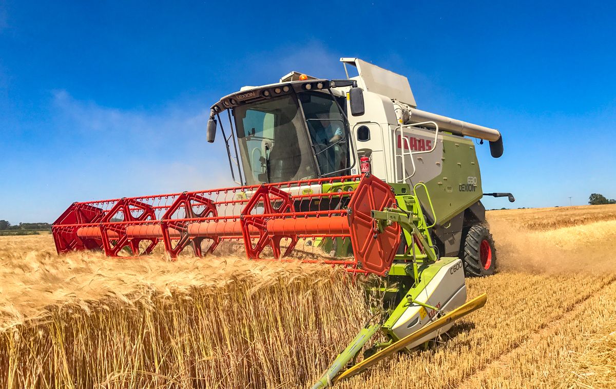‘Agriculture must produce more food’ – former NFU president