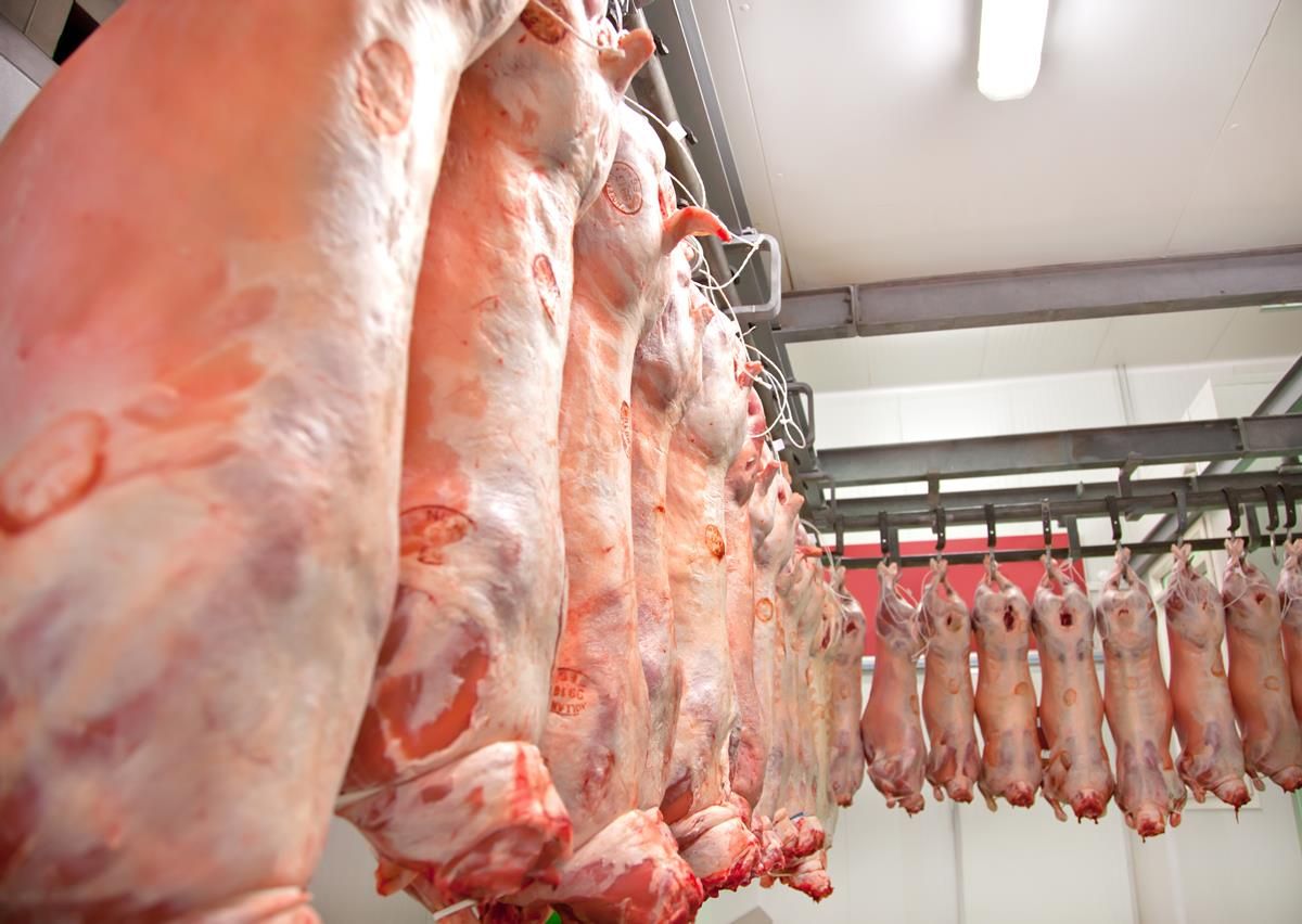 November pigmeat production up on last year despite sector crisis