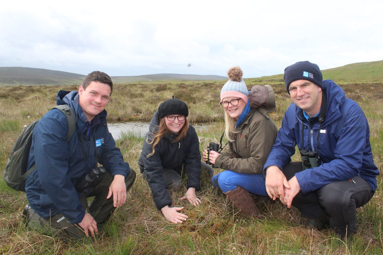 The importance of bog land restoration in NI highlighted
