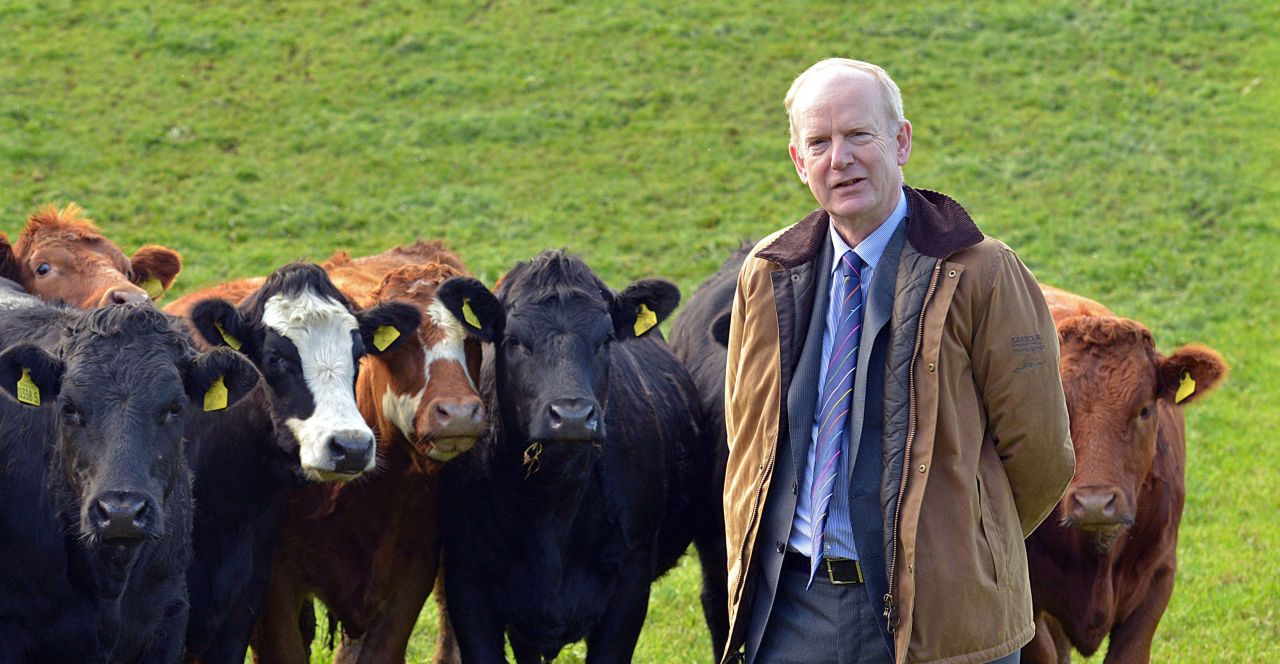 AFBI to present profit-based research findings at major dairy open day