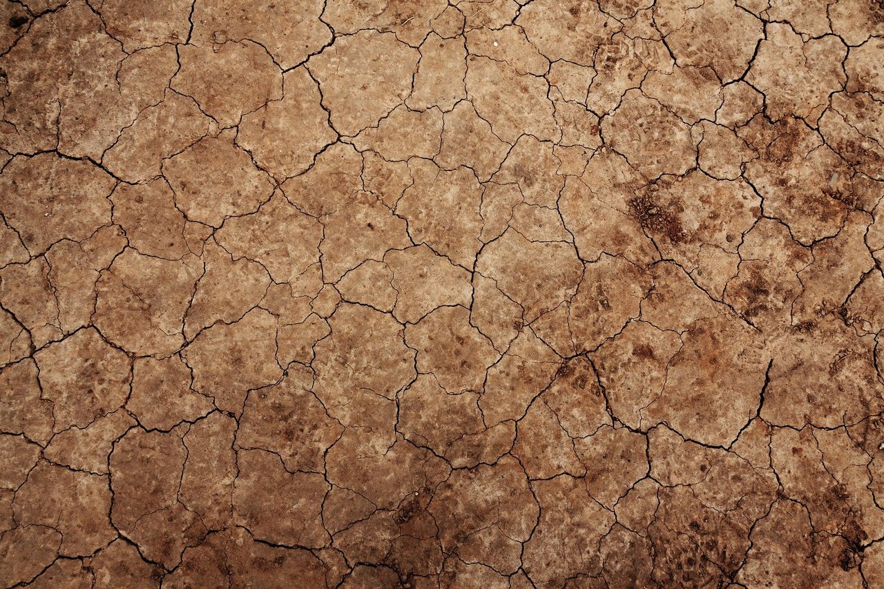 IPCC: Production losses projected for most European areas