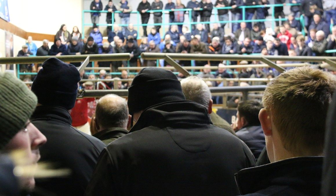 £500,000 boost for Welsh mart and abattoir infrastructure