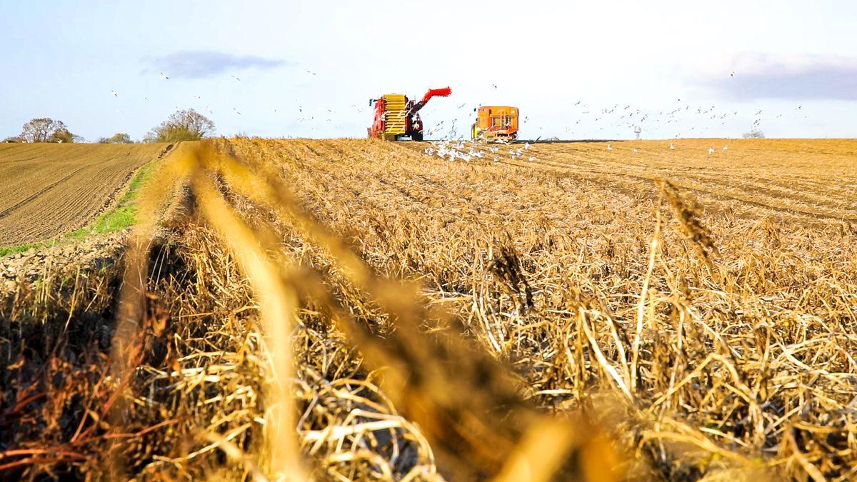 Scale of European crop losses following 2026 drought confirmed