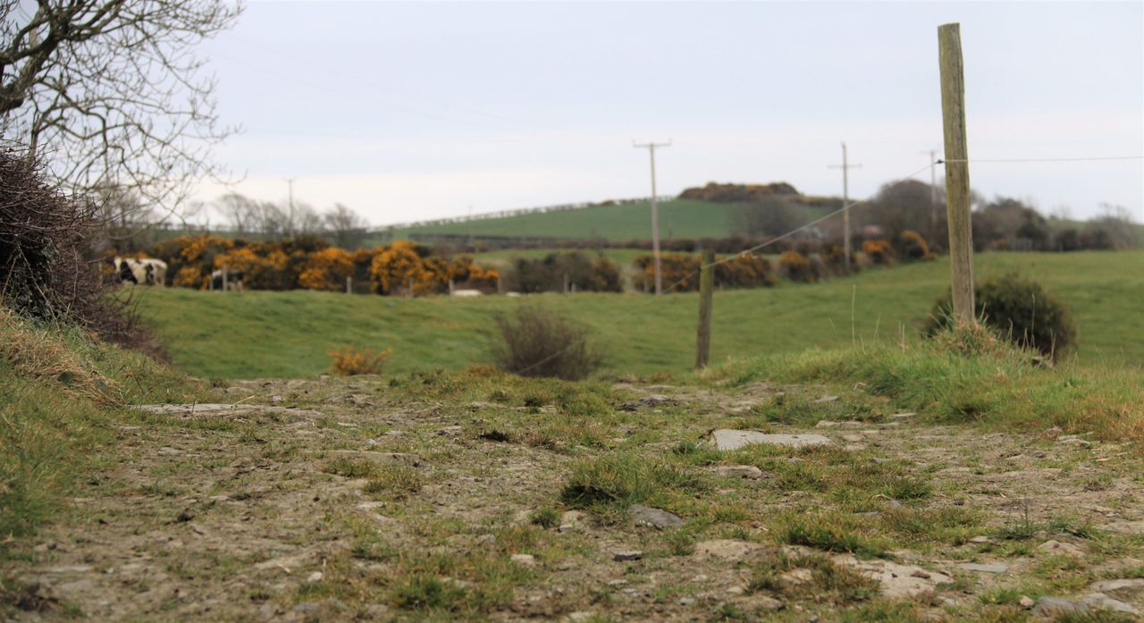 Latest grass growth predictions well below 10-year average
