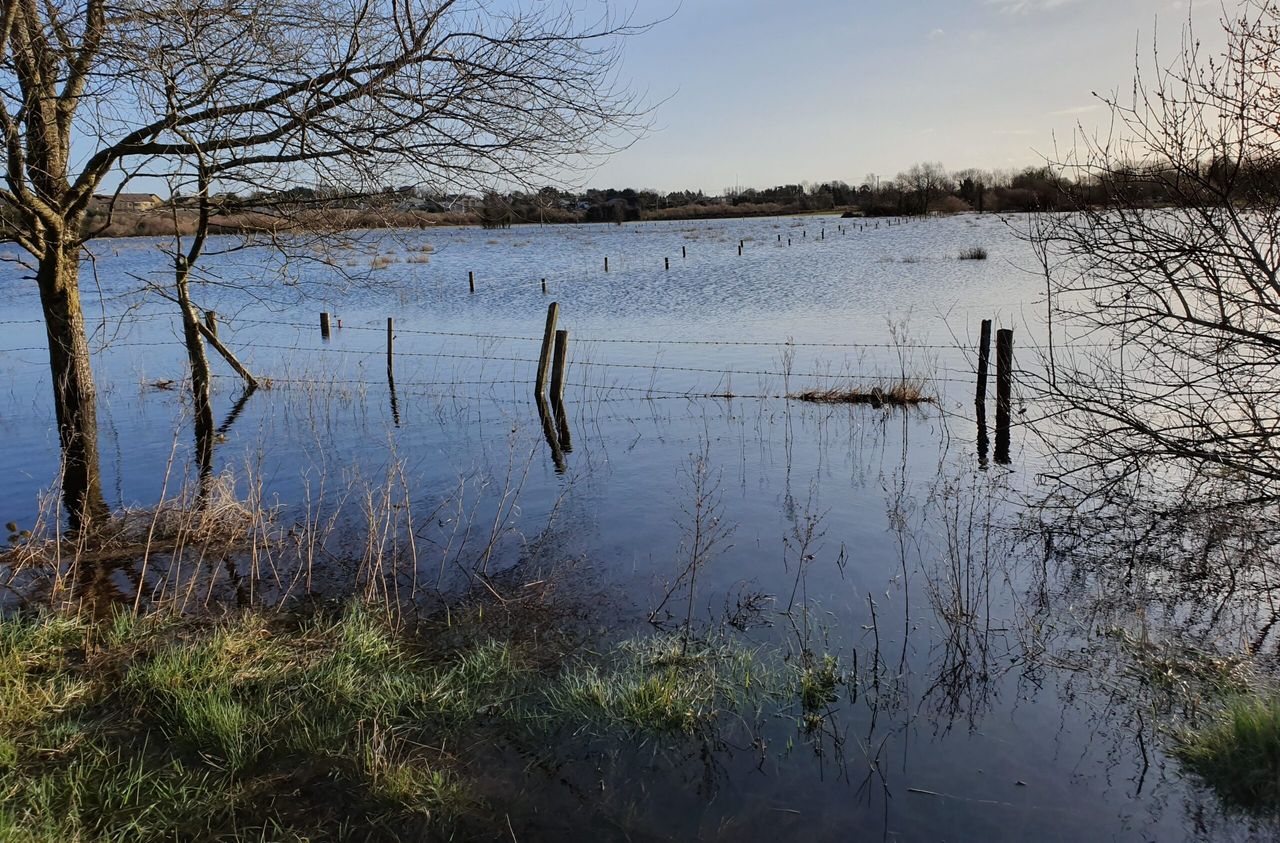 Somerset farms to benefit from £50m package flood protection