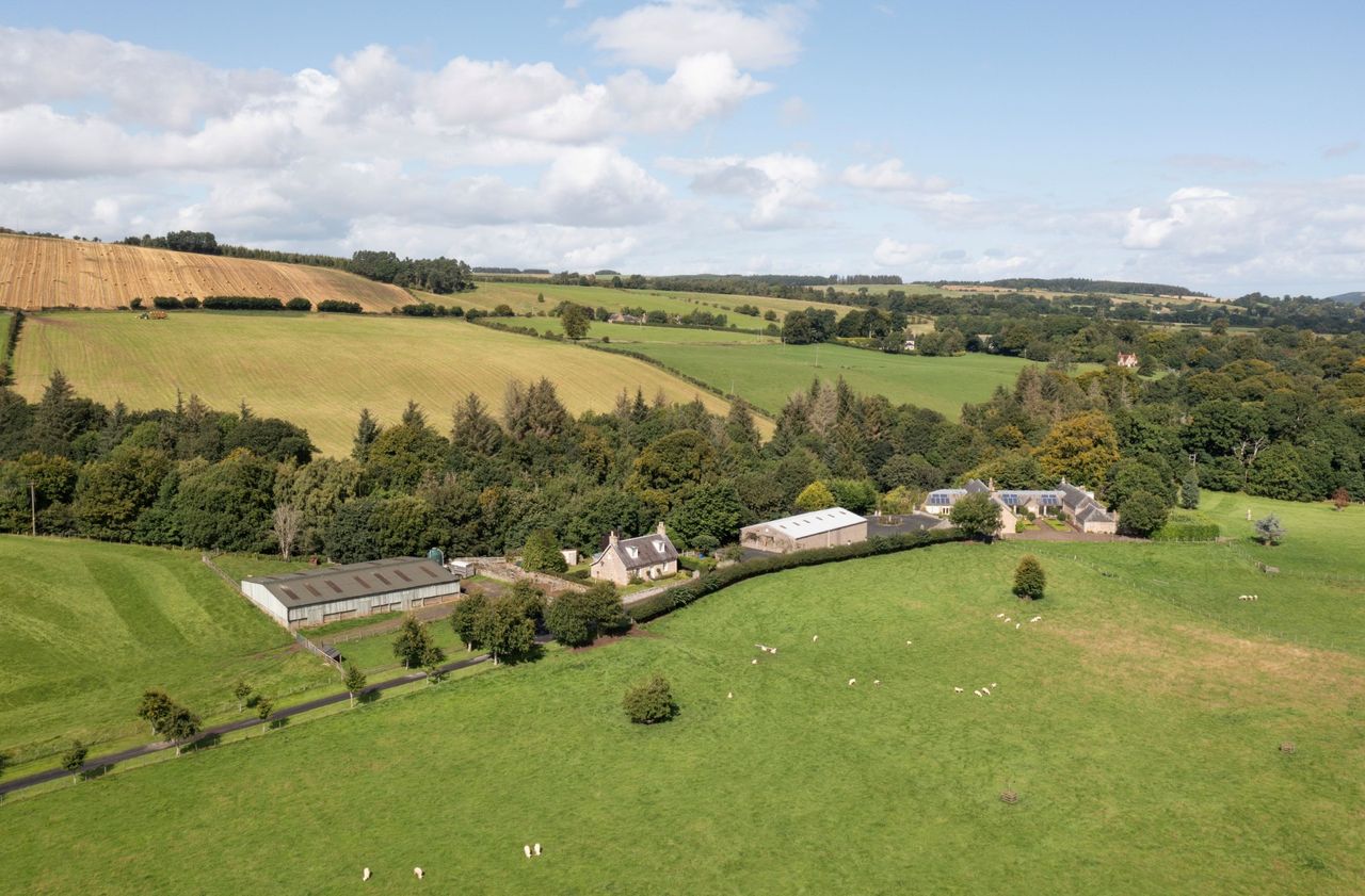 Scottish Borders farm with country house comes to the market