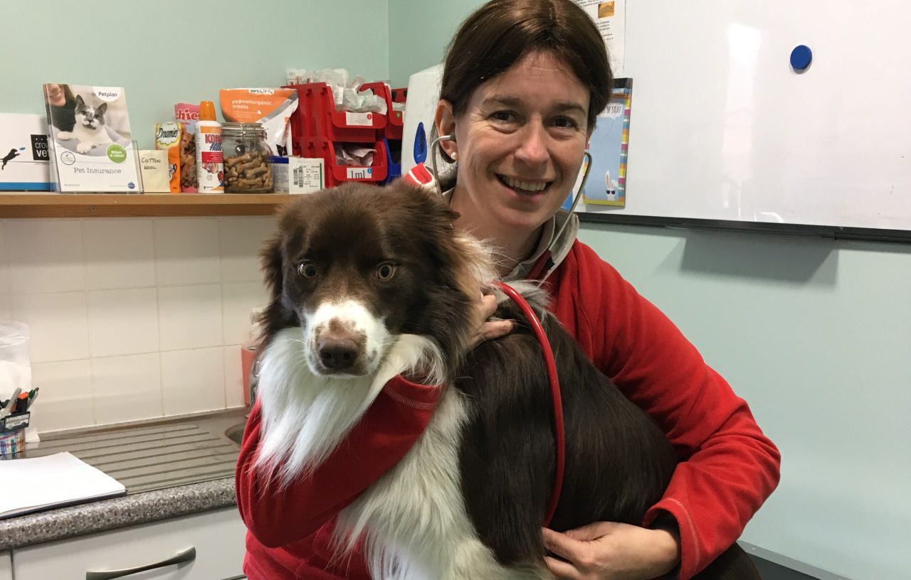 Moray vet elected as new BVA Scottish branch president