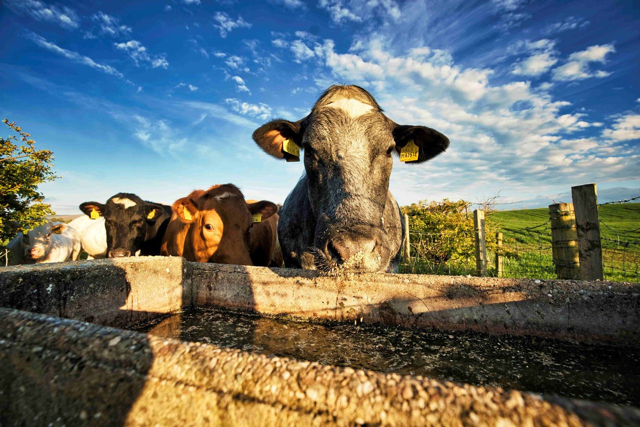 NI farmers reminded to check for leaks to stop money ‘going down the drain’