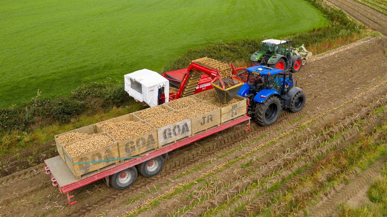 Rising costs push Northern Ireland potato company into administration