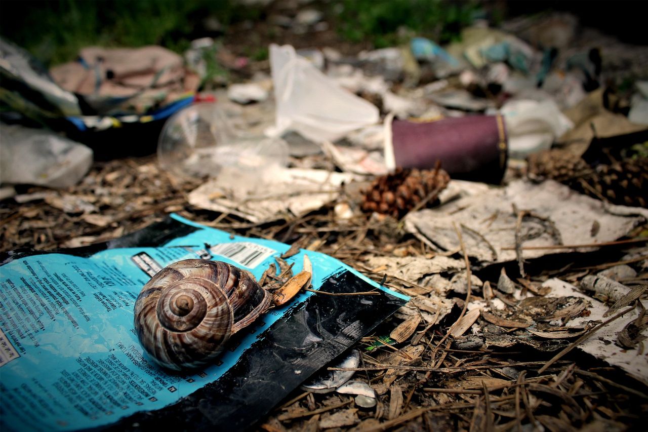 'Police-style' powers given to EA officers to crack down on dumping