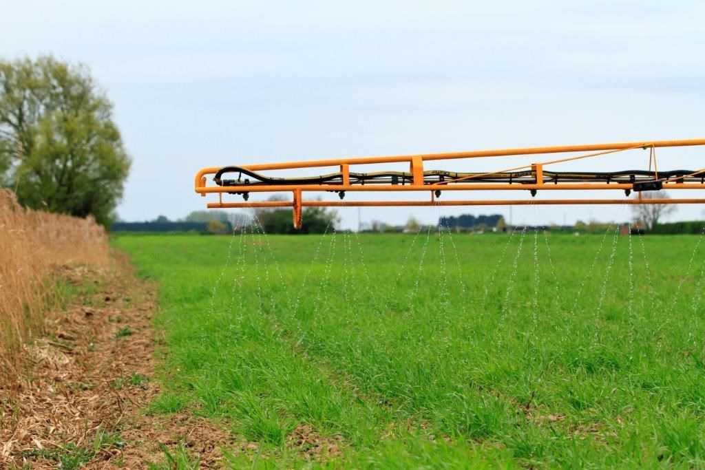 FAO: Govts should have targets to reduce nitrogen