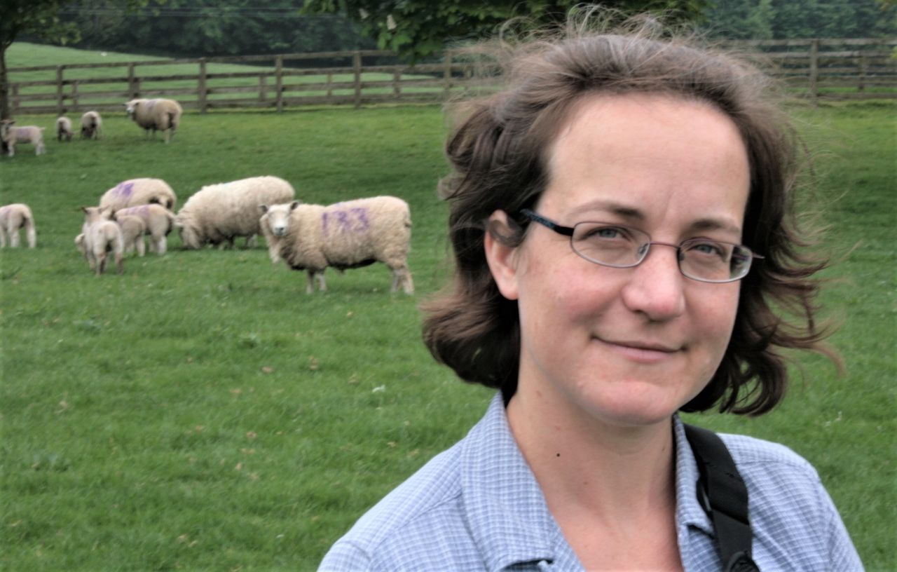 Grass event to help sheep farmers 'play catch up' on a late season