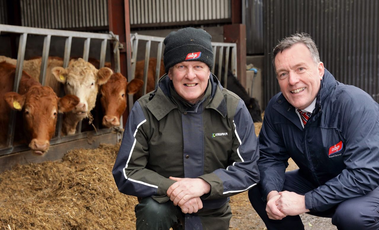 Update from ABP’s UK red meat sustainability programme