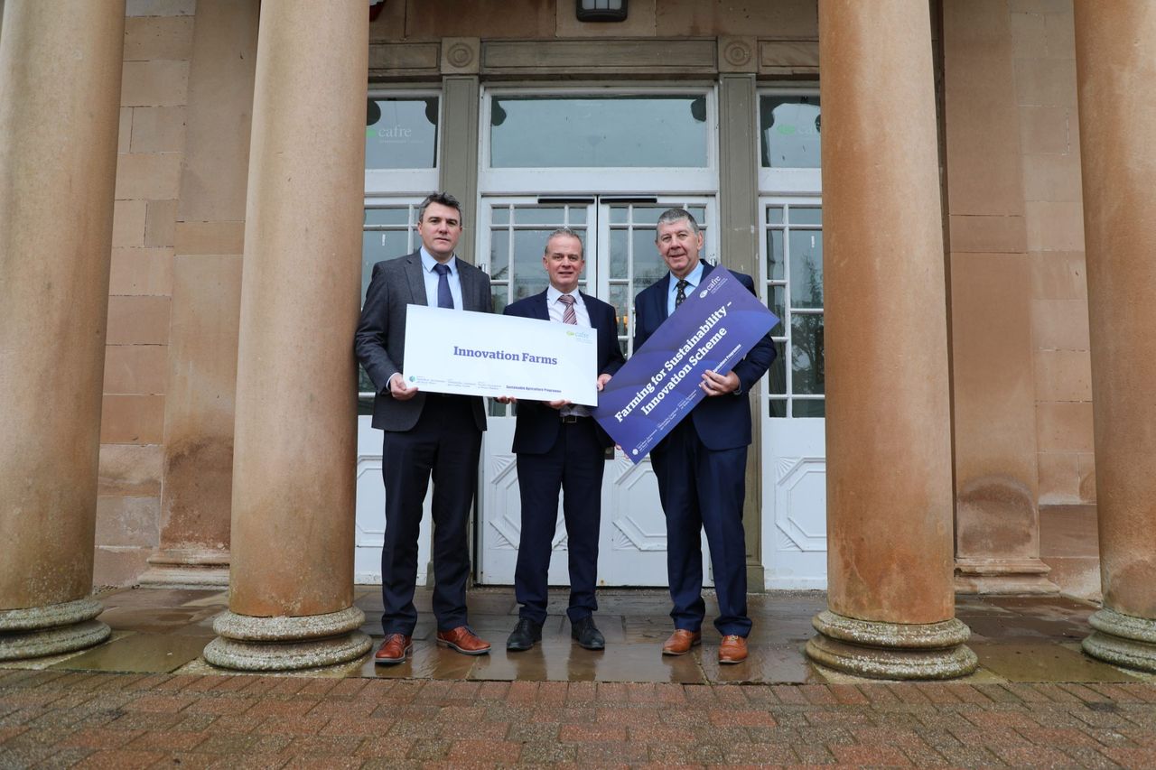 NI beef and dairy farmers sought for CAFRE ‘Innovation Farms project