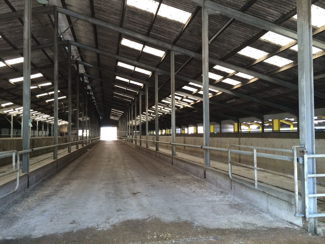 Large Herd Open Day highlights the need for effective disease control strategies