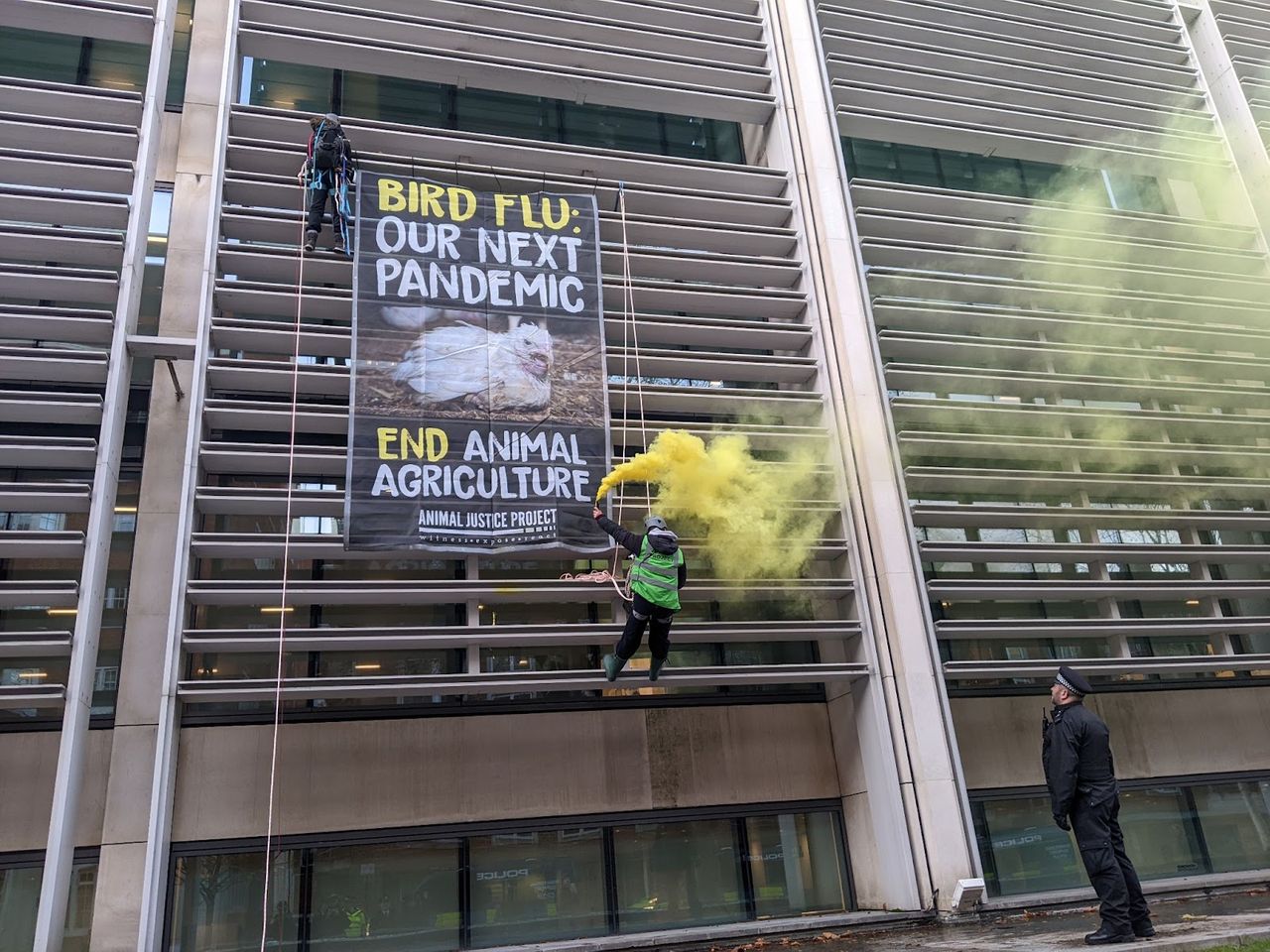 Animal rights activists scale Defra building