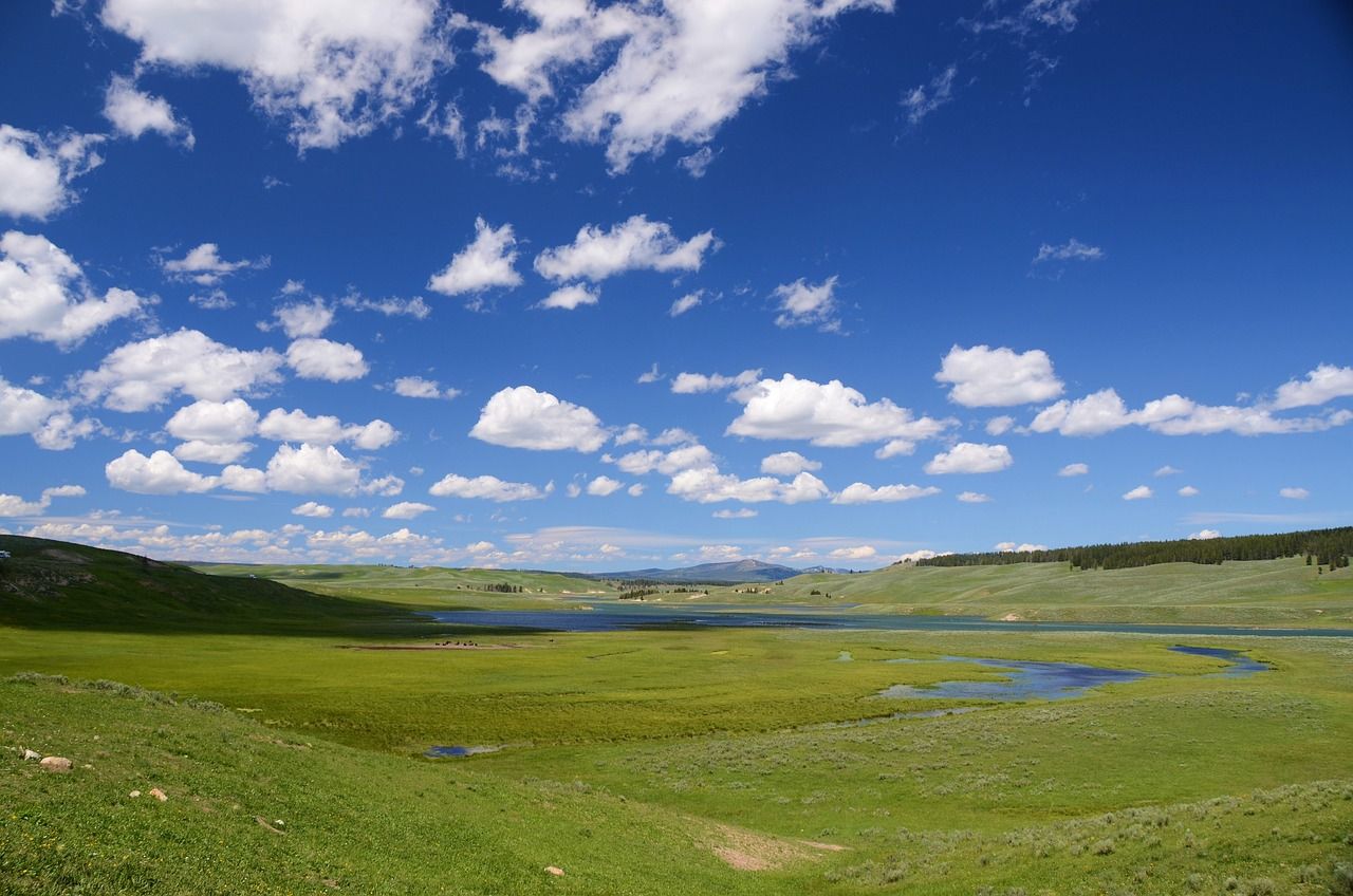 Interim chair of Joint Nature Conservation Committee has appointment extended