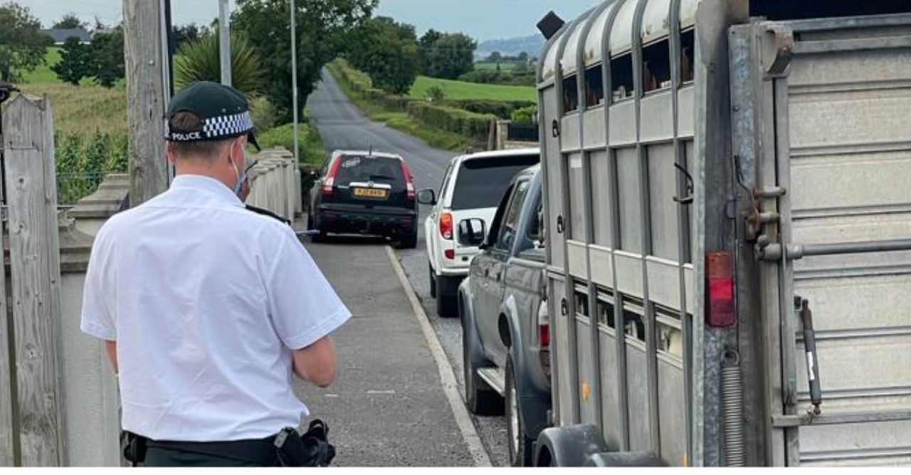 2 arrests made as part of rural crime clampdown in Down
