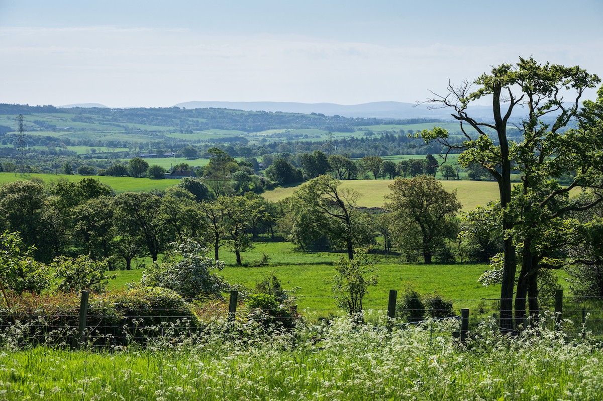 Government injects £343m into rural economy