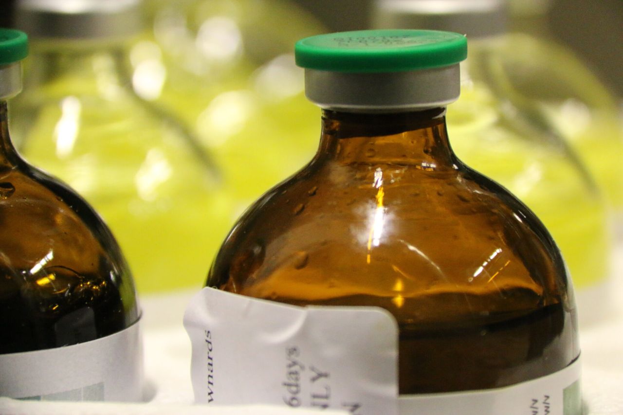 DAERA to form NI animal health group to tackle antimicrobial resistance