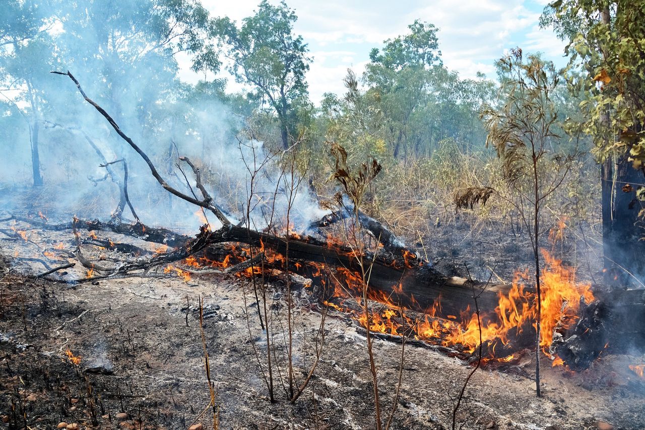 IPCC: Emissions must be cut to prevent threats to species and ecosystems