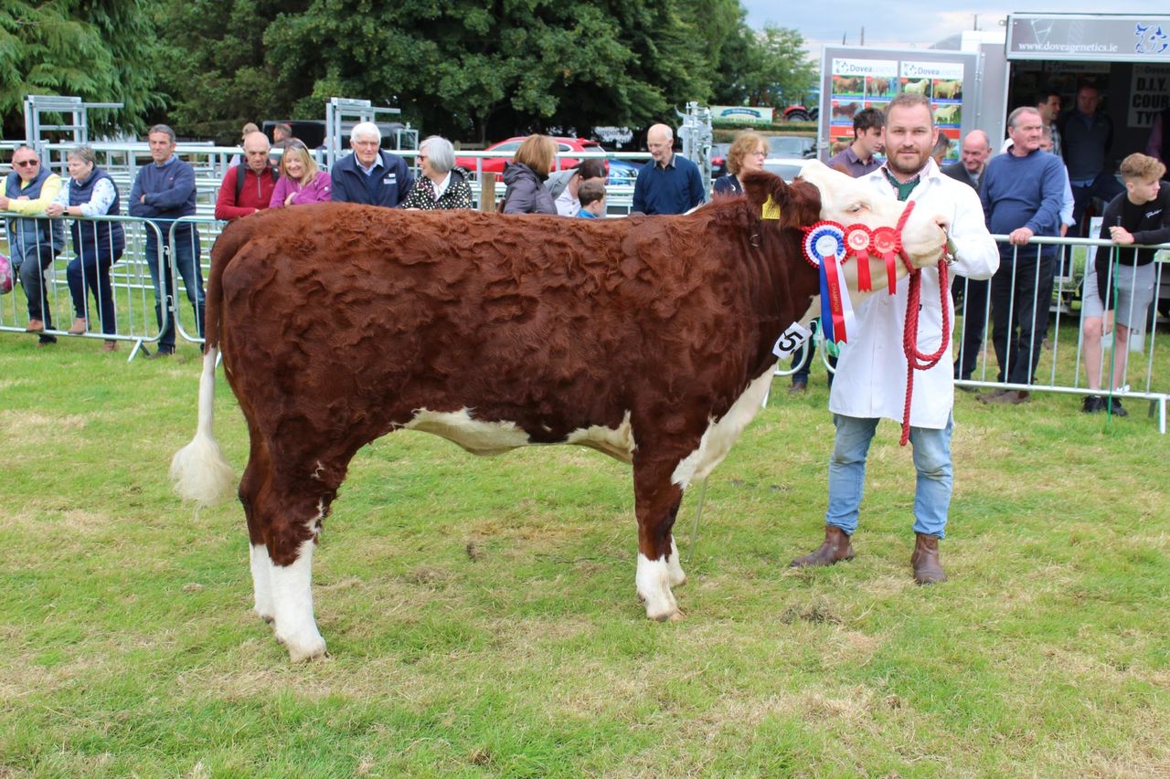Opinion: NI agri show societies deliver in spades