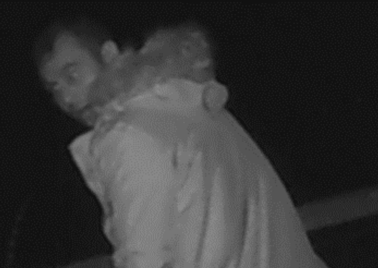 Police release CCTV image of sheep theft suspect