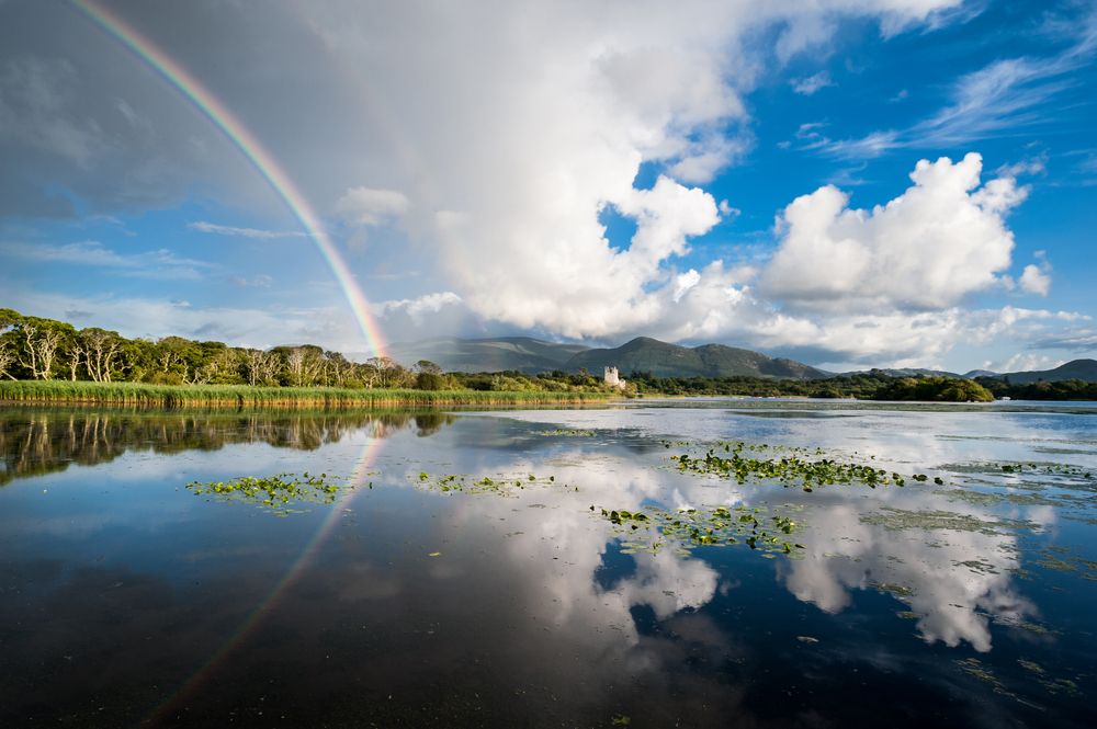 Clean water key for agri-food industry, EPA